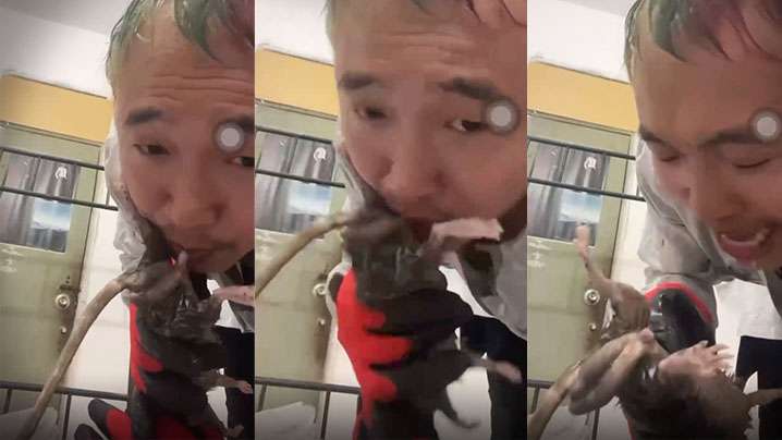 劲爆给老鼠口交什么奇葩性趣.