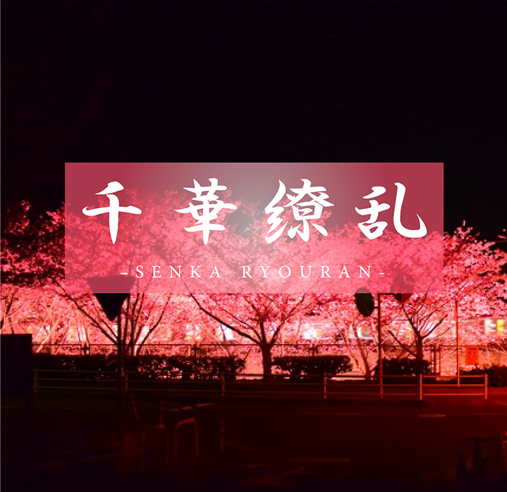 FC2-3308060 【Radiance LAST DIAMOND】A secret video -cd4